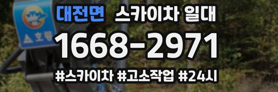 대전면 스카이차 일대