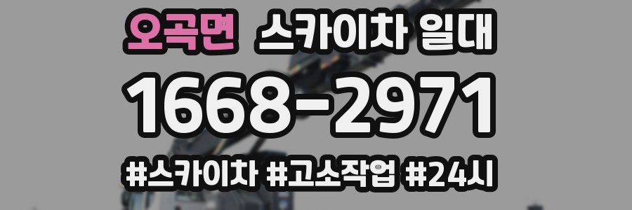 오곡면 스카이차 일대