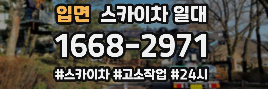 입면 스카이차 일대
