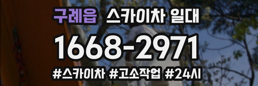 구례읍 스카이차 일대