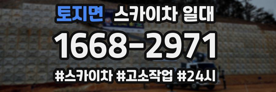 토지면 스카이차 일대