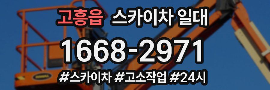 고흥읍 스카이차 일대