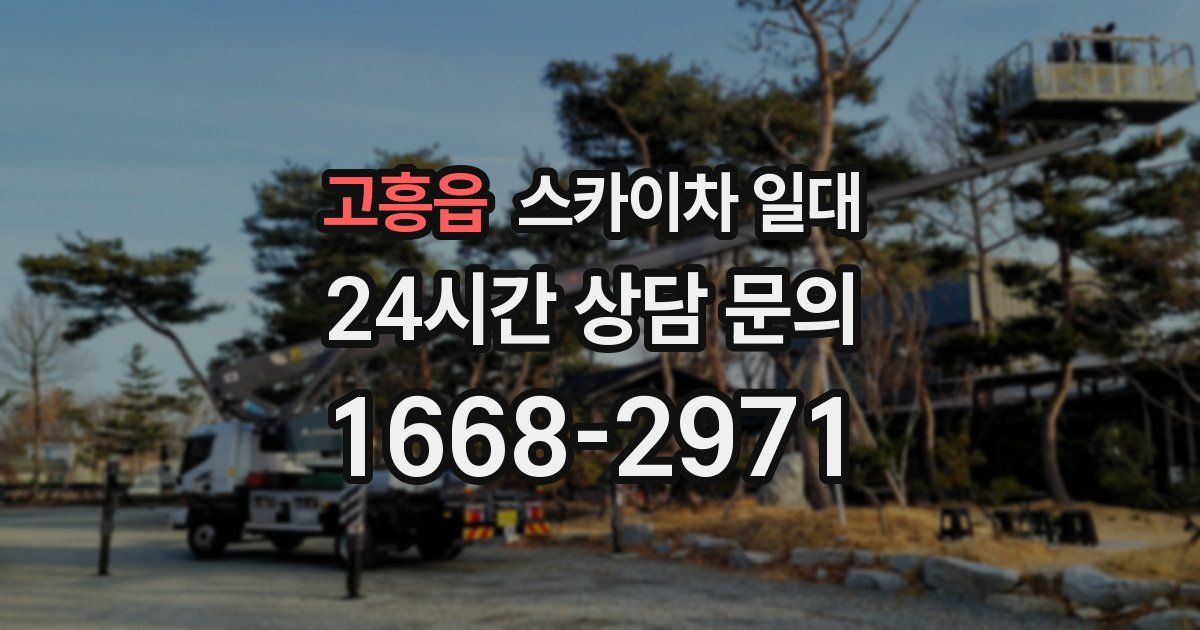 고흥읍 스카이차 일대