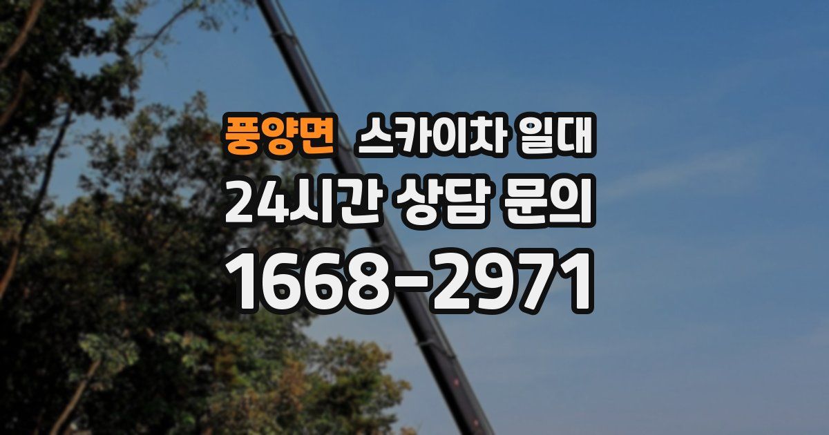 풍양면 스카이차 일대