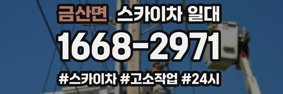 금산면 스카이차 일대
