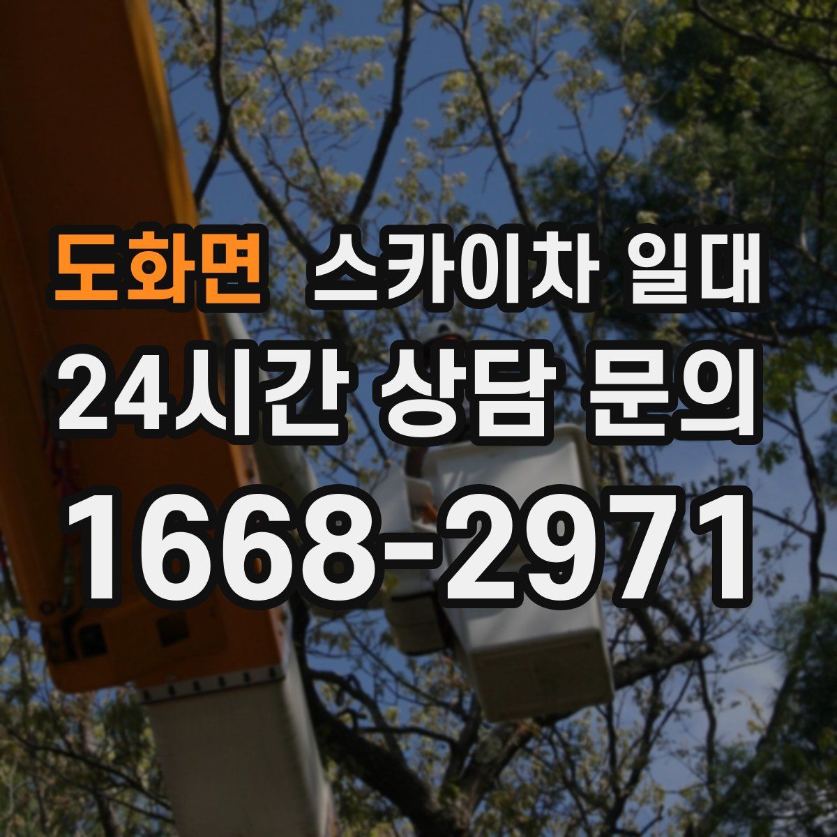 도화면 스카이차 일대