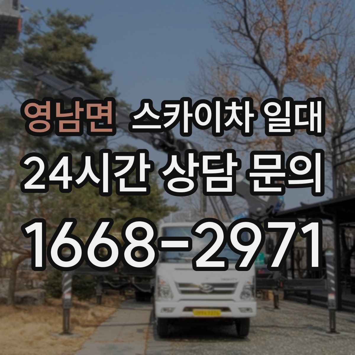 영남면 스카이차 일대