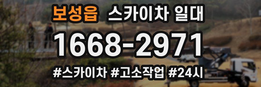 보성읍 스카이차 일대