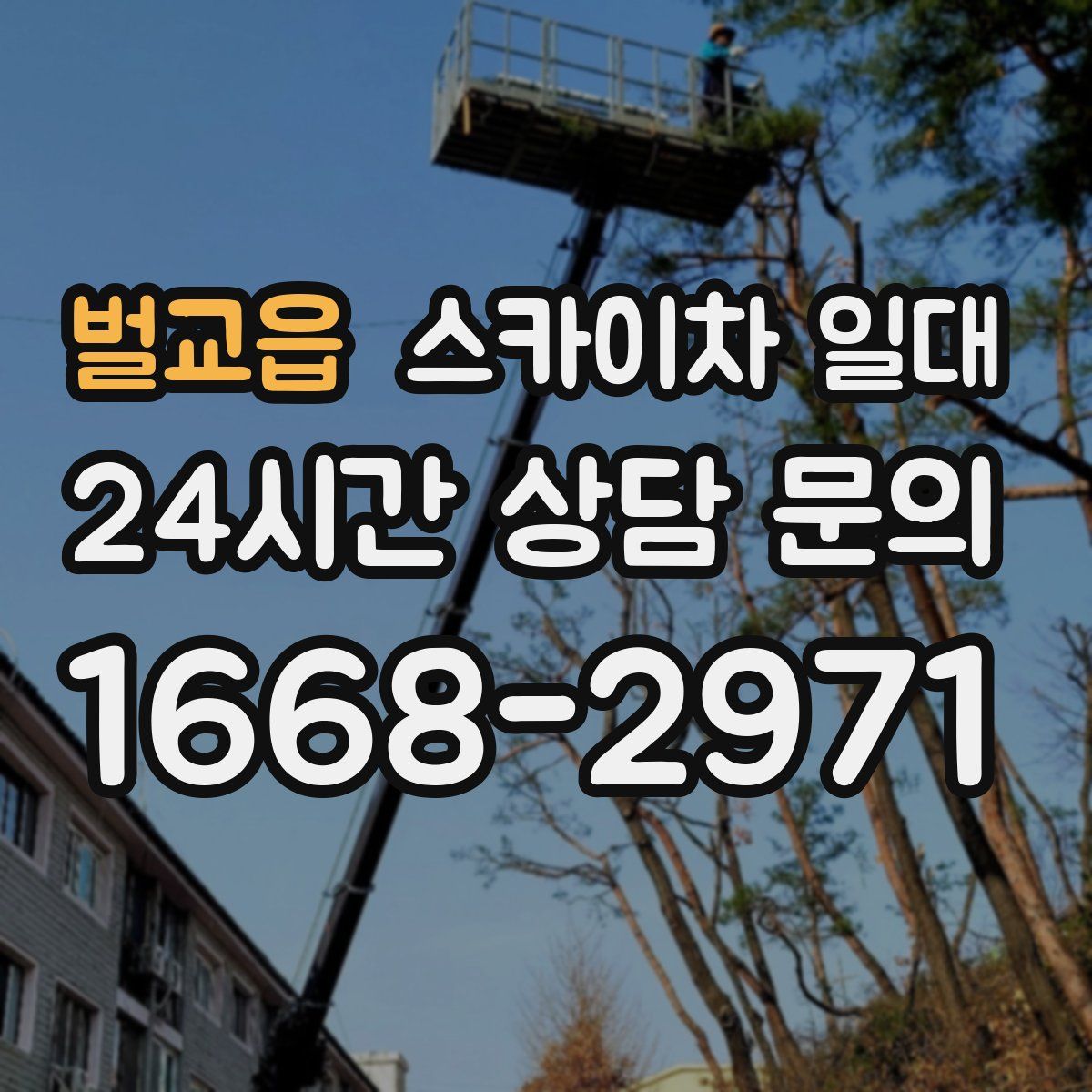 벌교읍 스카이차 일대