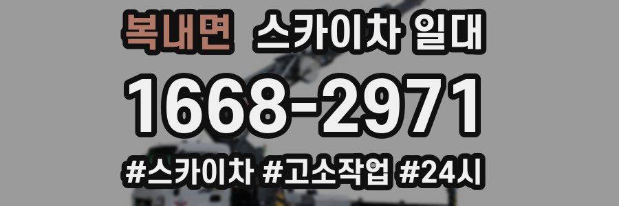 복내면 스카이차 일대