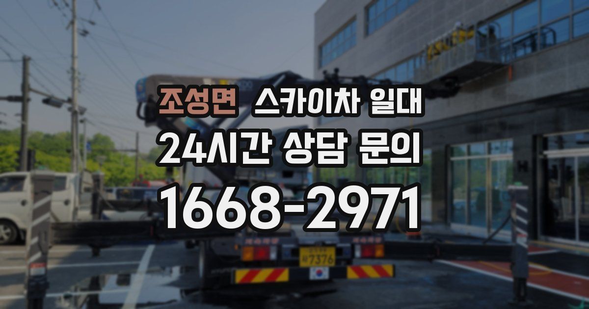 조성면 스카이차 일대