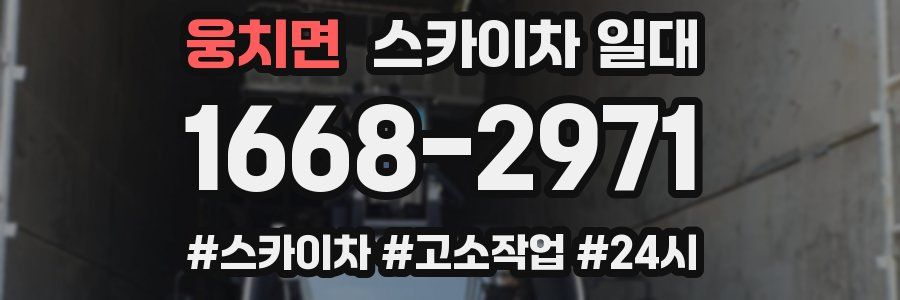 웅치면 스카이차 일대