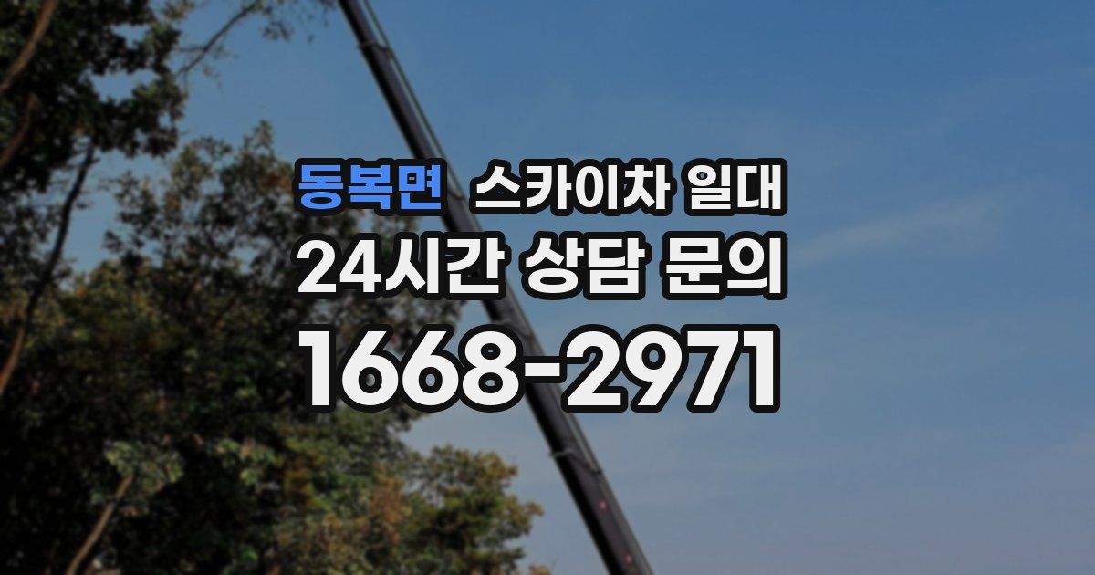 동복면 스카이차 일대