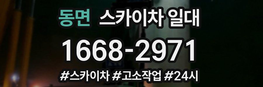 동면 스카이차 일대