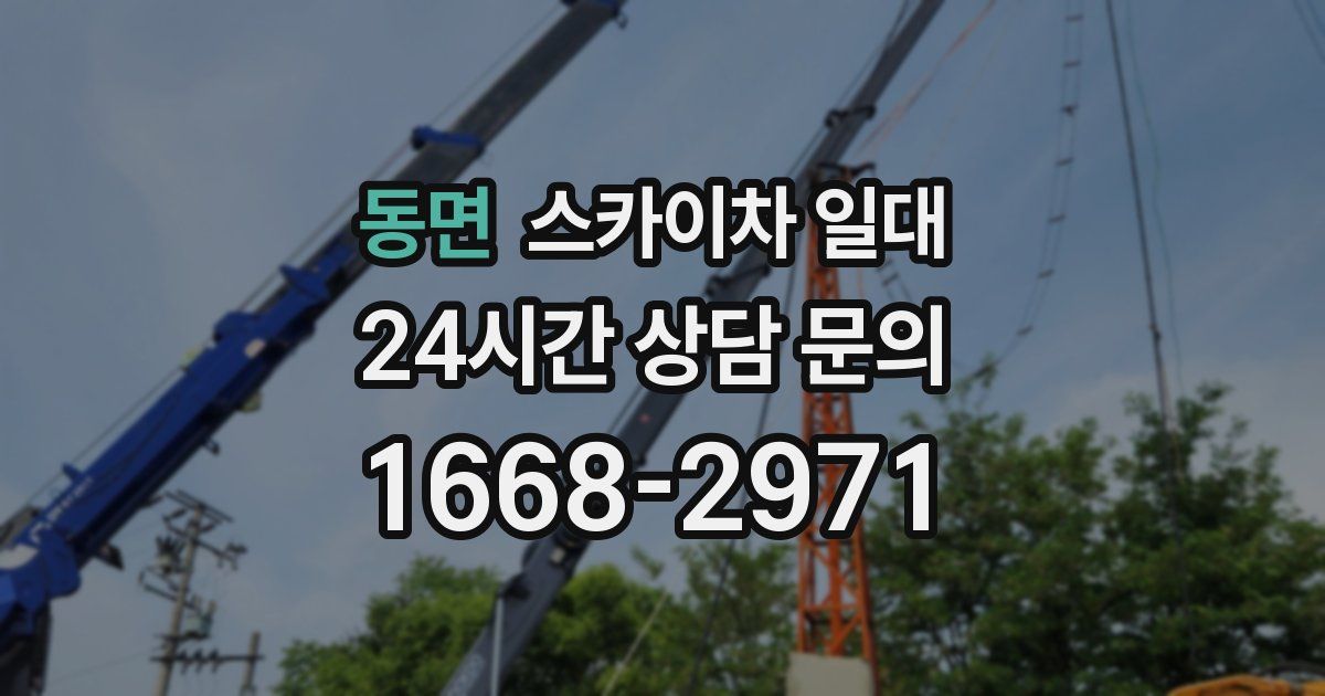 동면 스카이차 일대