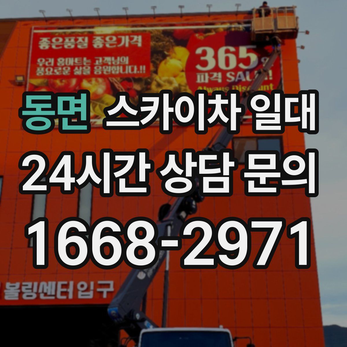 동면 스카이차 일대