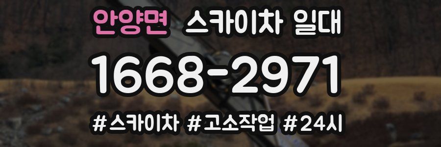 안양면 스카이차 일대