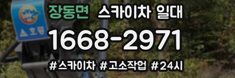 장동면 스카이차 일대