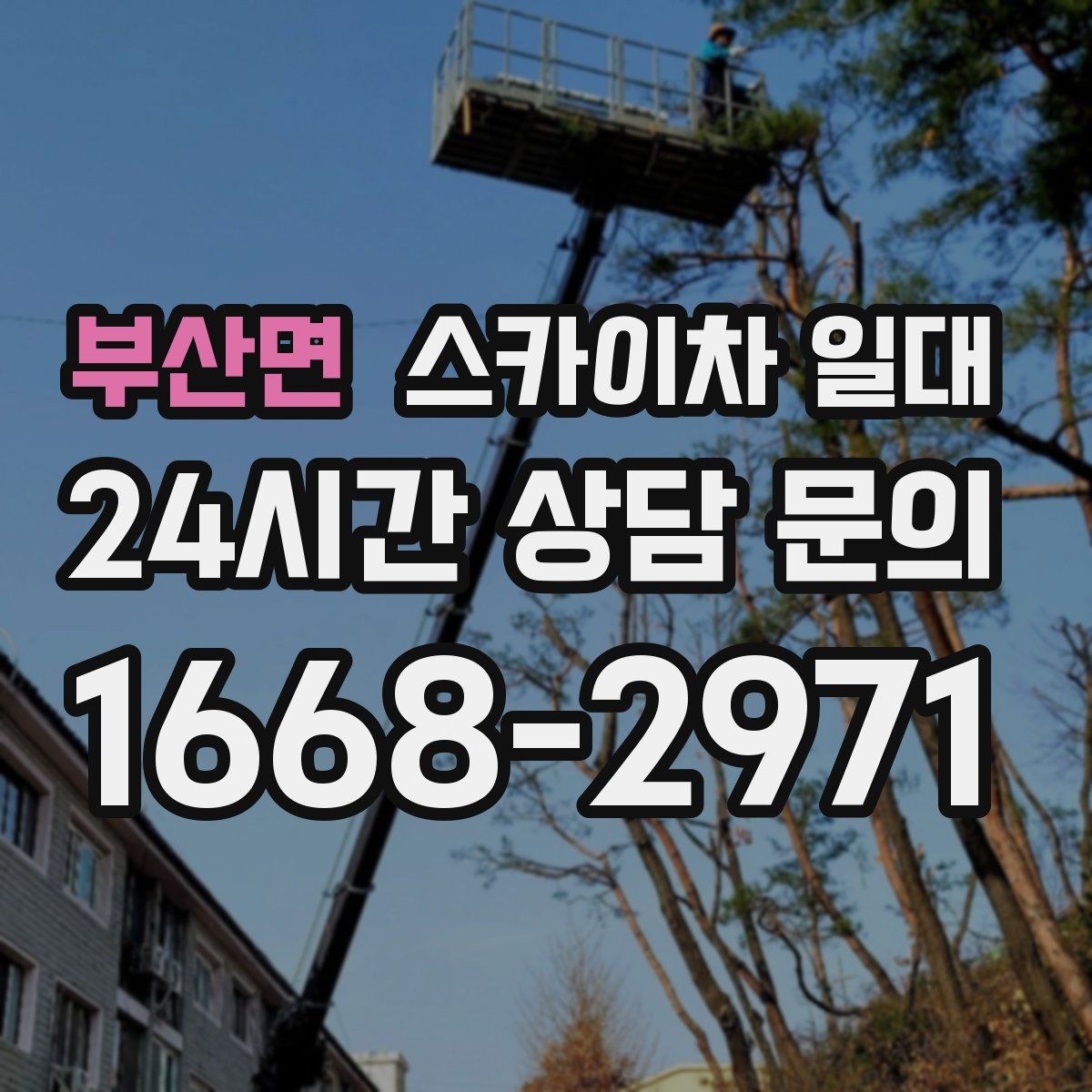 부산면 스카이차 일대