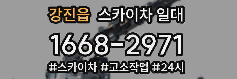강진읍 스카이차 일대