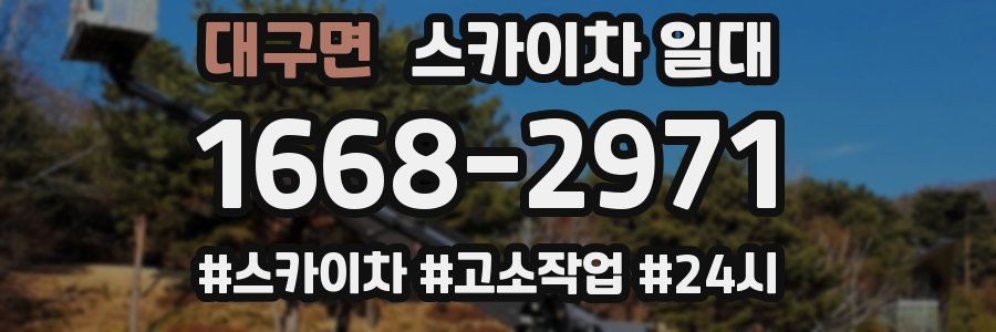 대구면 스카이차 일대