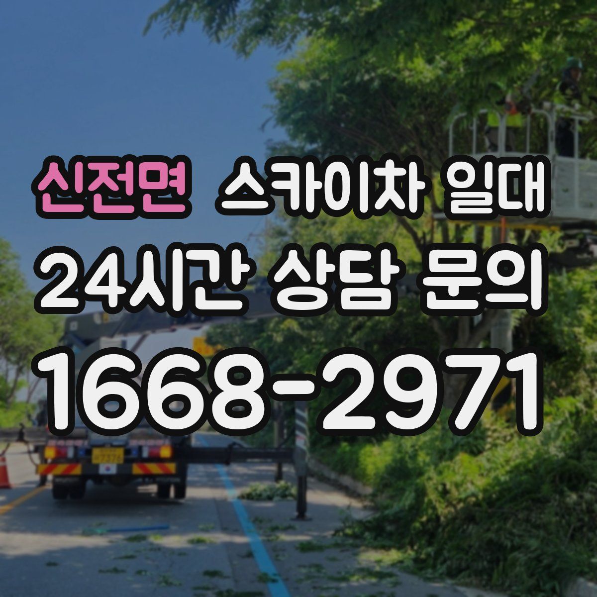 신전면 스카이차 일대