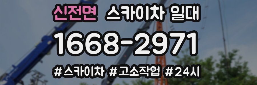 신전면 스카이차 일대