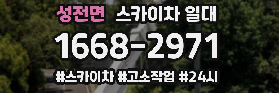 성전면 스카이차 일대