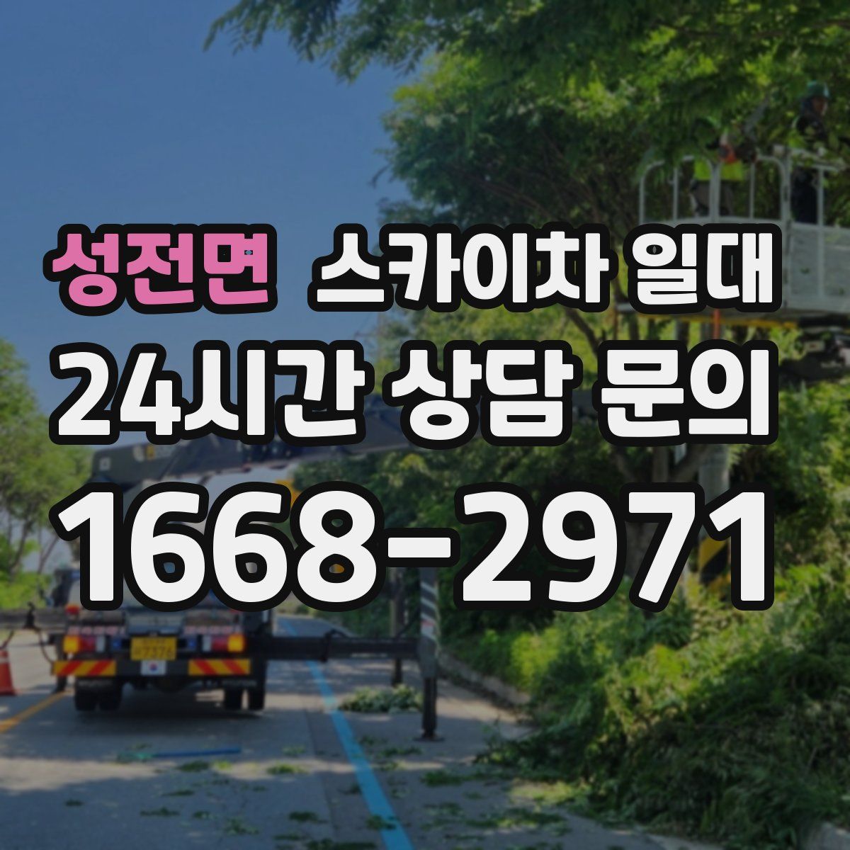 성전면 스카이차 일대