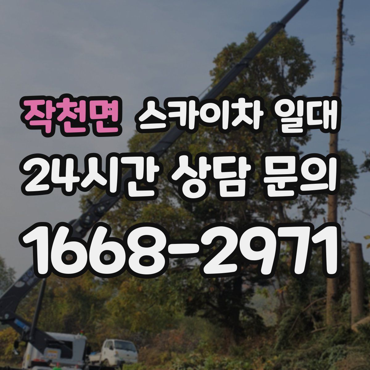 작천면 스카이차 일대