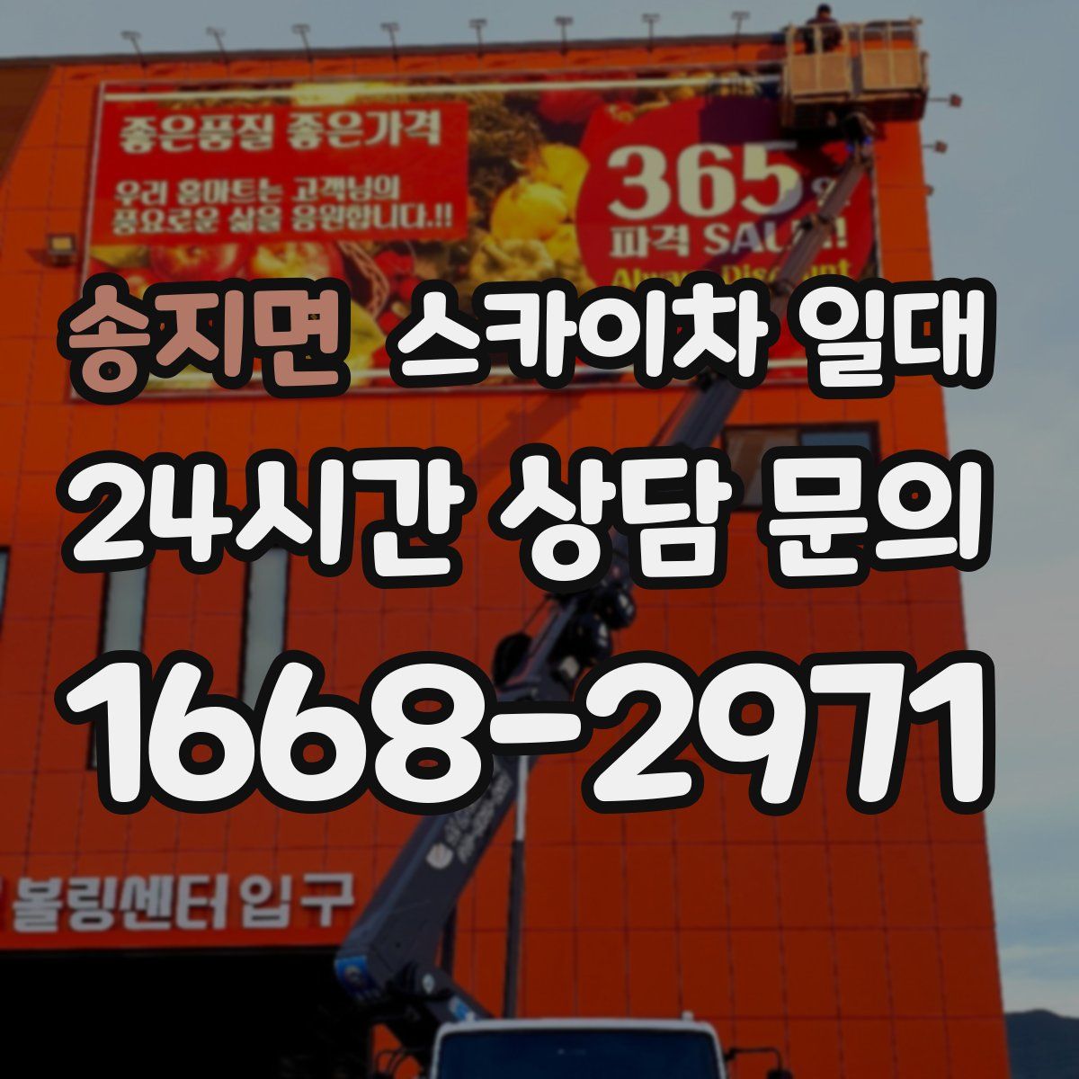 송지면 스카이차 일대