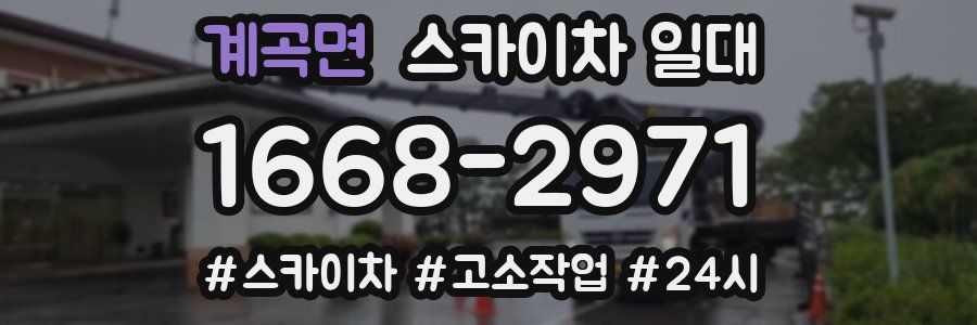 계곡면 스카이차 일대