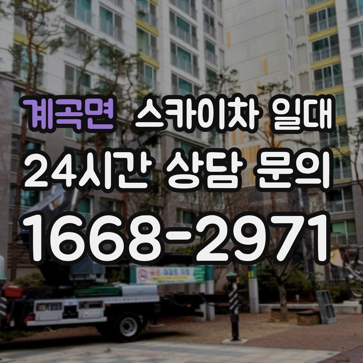 계곡면 스카이차 일대