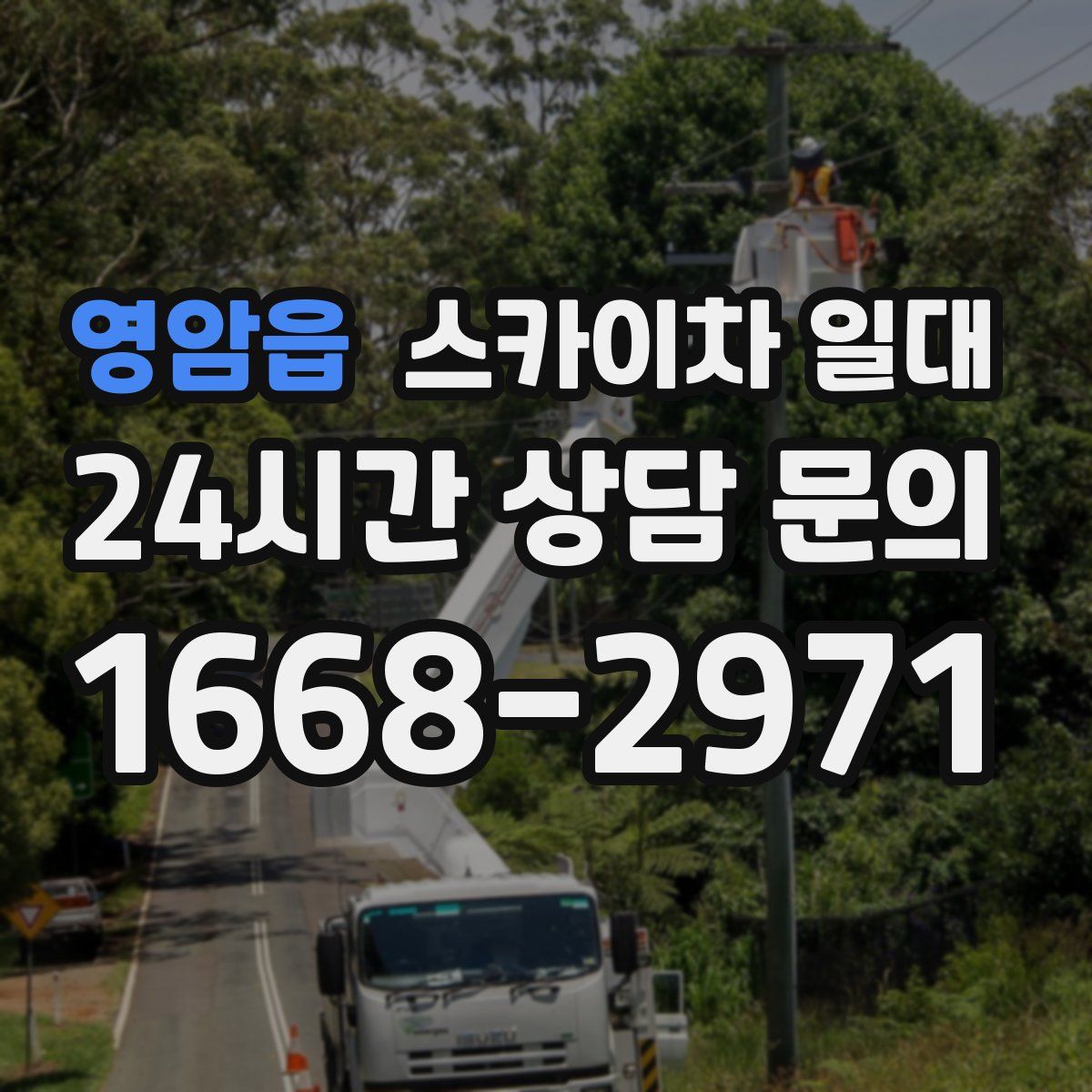 영암읍 스카이차 일대