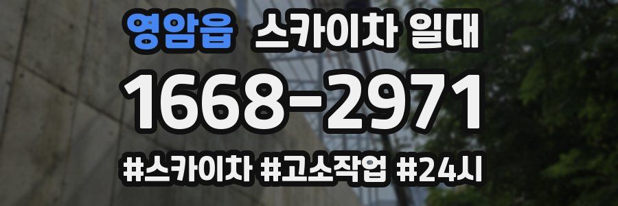 영암읍 스카이차 일대