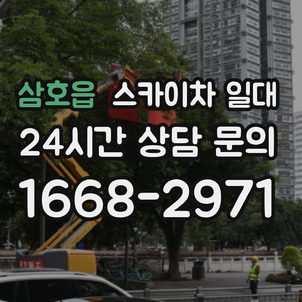 삼호읍 스카이차 일대