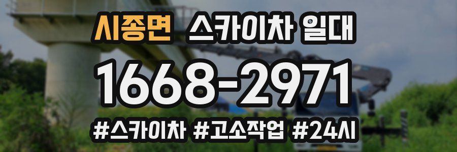 시종면 스카이차 일대