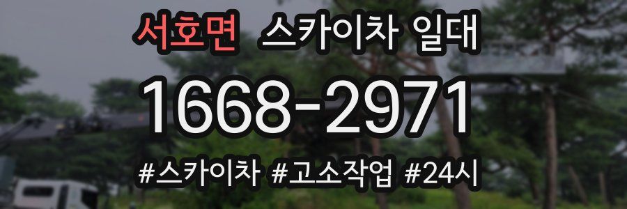 서호면 스카이차 일대