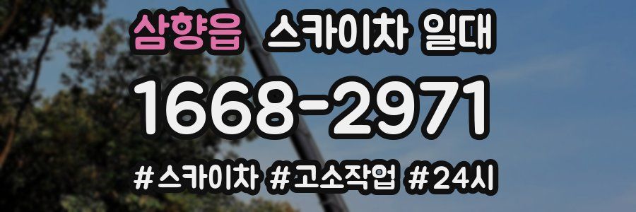 삼향읍 스카이차 일대