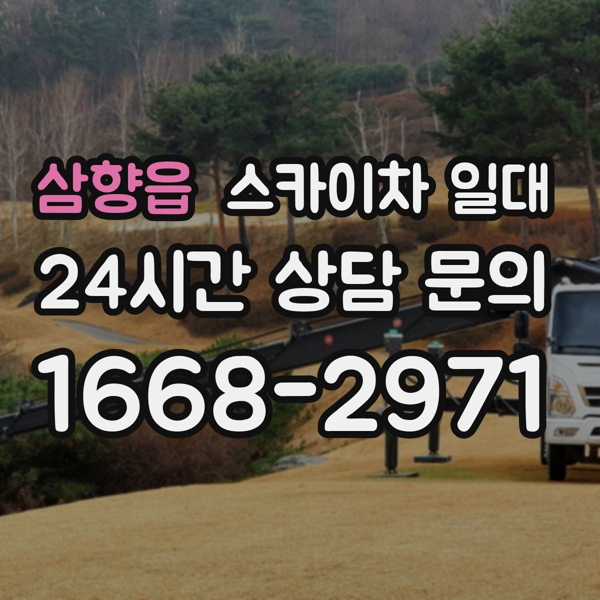 삼향읍 스카이차 일대