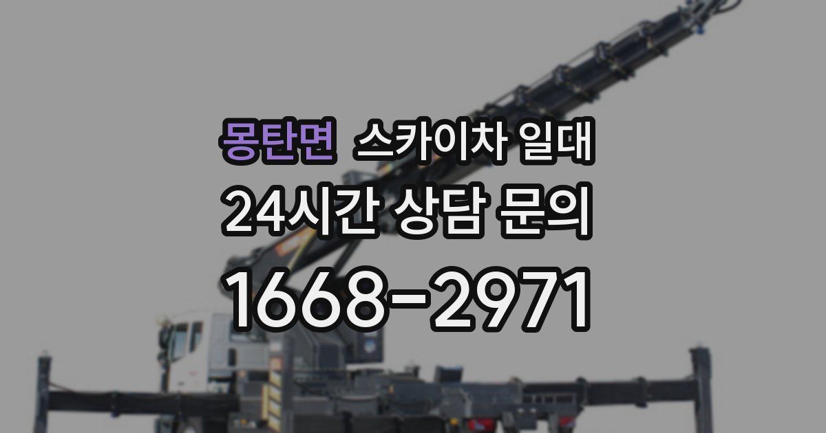 몽탄면 스카이차 일대