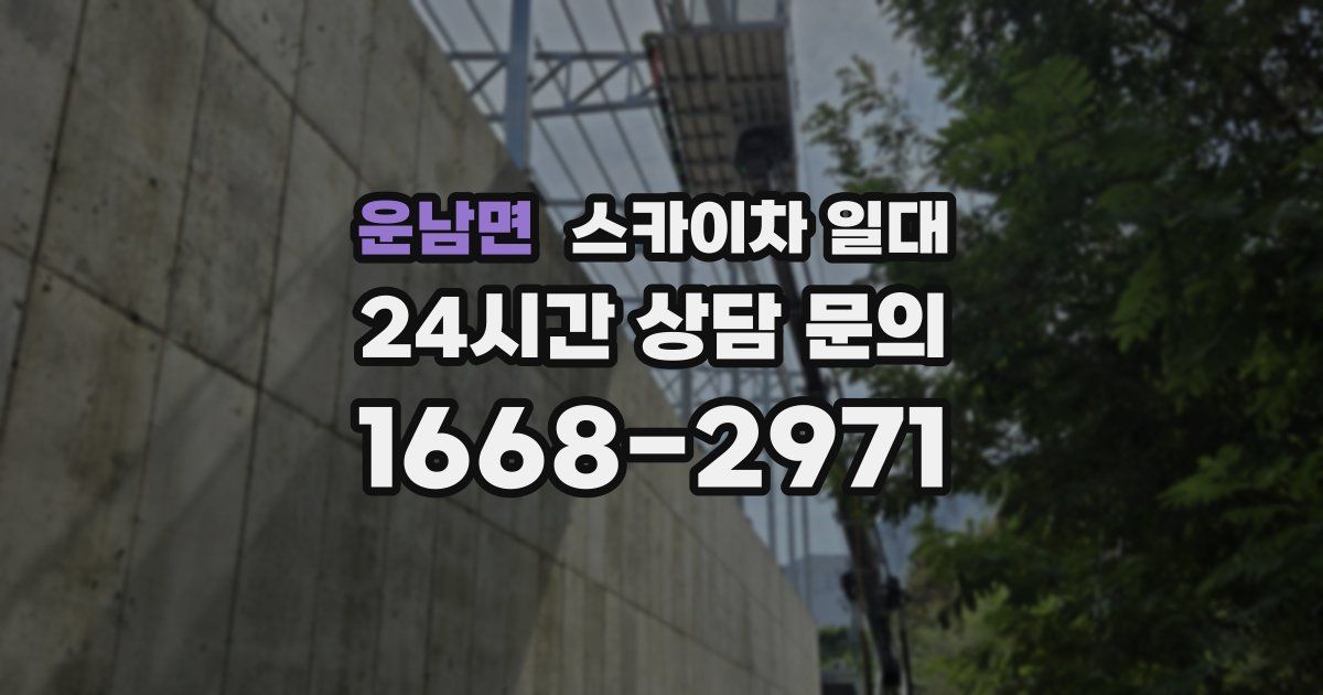 운남면 스카이차 일대