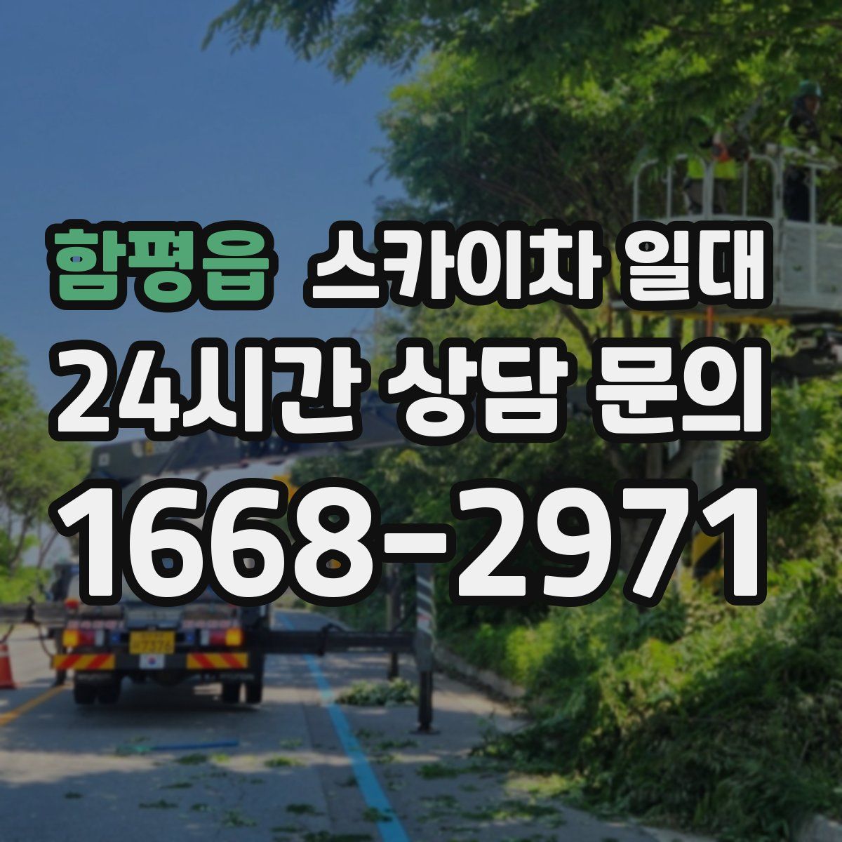 함평읍 스카이차 일대