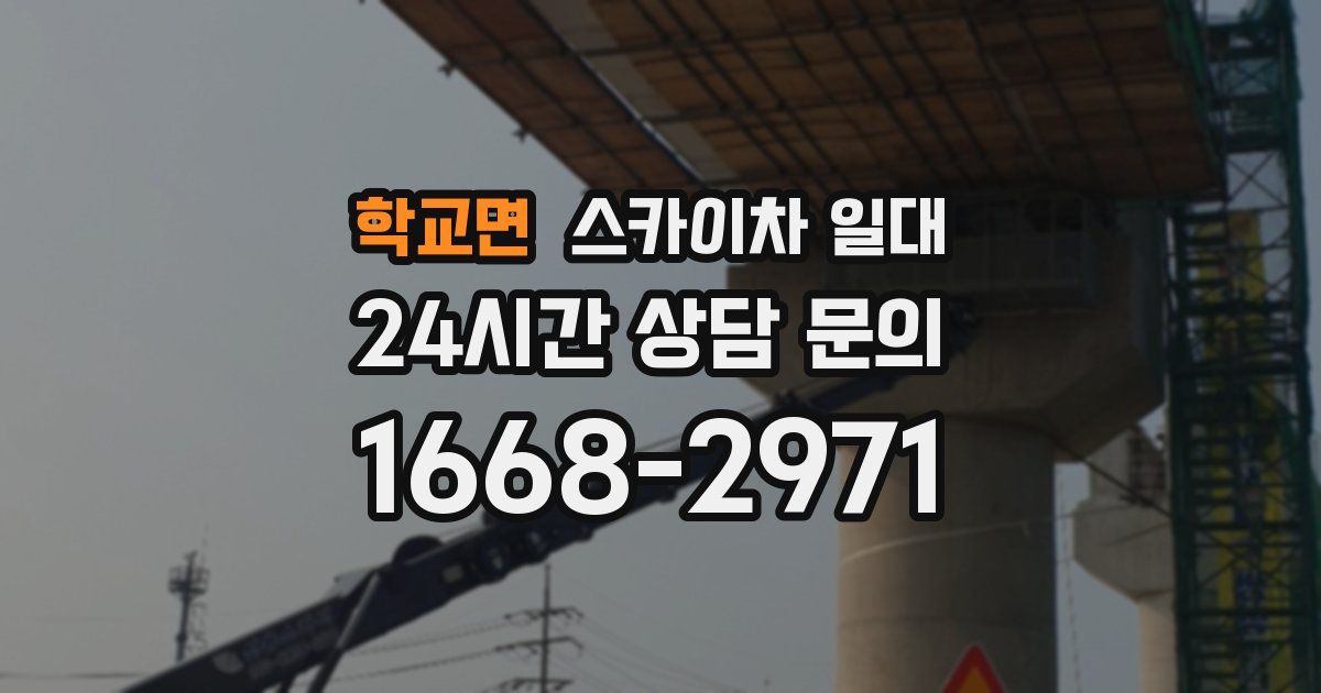 학교면 스카이차 일대