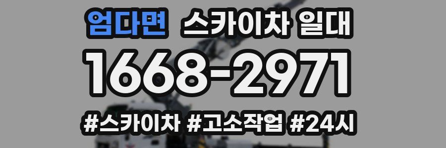엄다면 스카이차 일대