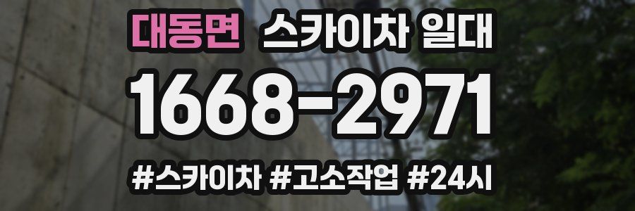 대동면 스카이차 일대