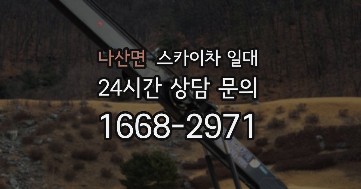 나산면 스카이차 일대
