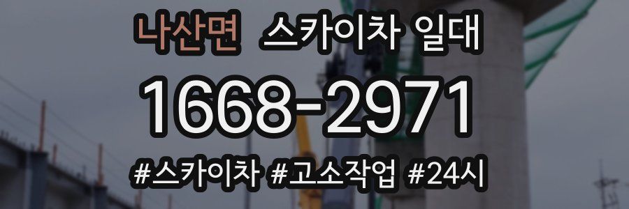 나산면 스카이차 일대