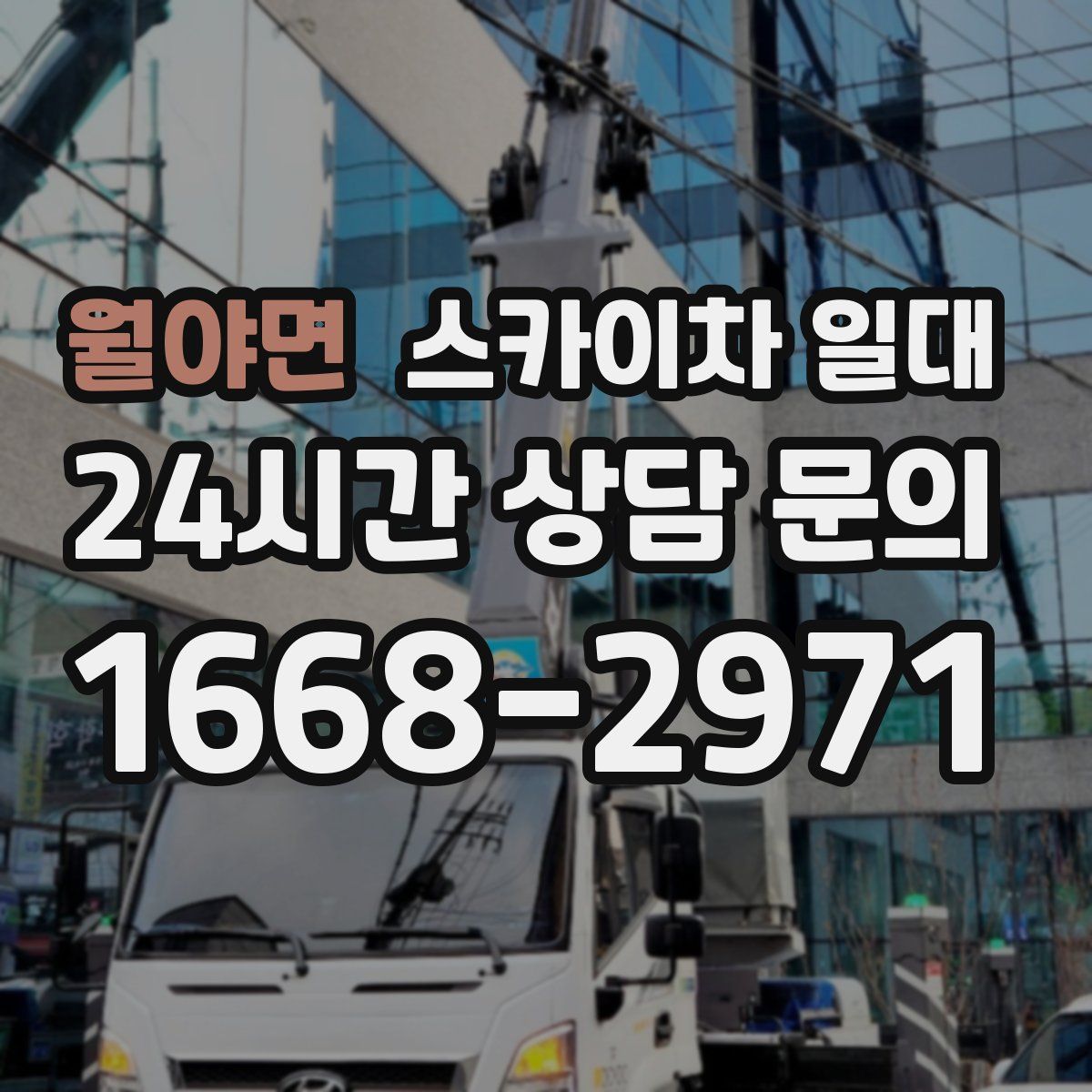 월야면 스카이차 일대