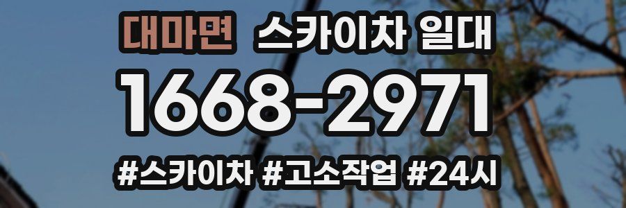 대마면 스카이차 일대